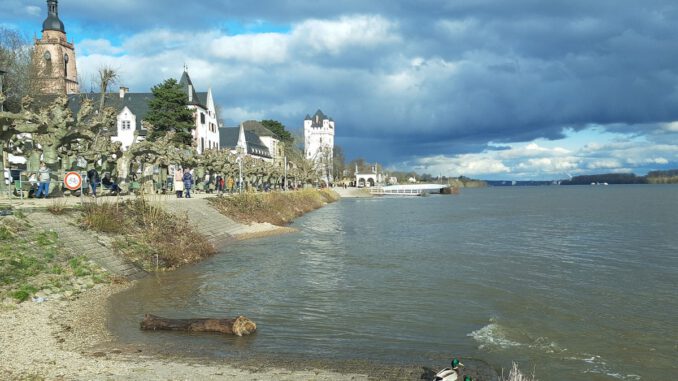 Eltville erneuert Rheinufergeländer und kombiniert Denkmalpflege mit heutiger Sicherheit