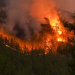 Höchste Waldbrandwarnstufe in der Region: Grillen auf städtischen Plätzen bleibt untersagt