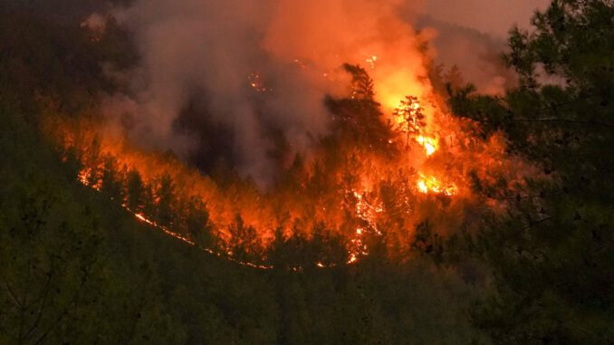 Höchste Waldbrandwarnstufe in der Region: Grillen auf städtischen Plätzen bleibt untersagt