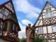 Nepomuk-Statue in Erbach nach Vandalismus wiederhergestellt