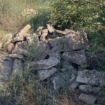 Wildes Entsorgen in Eltville belastet Umwelt und Stadtkasse