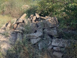 Wildes Entsorgen in Eltville belastet Umwelt und Stadtkasse