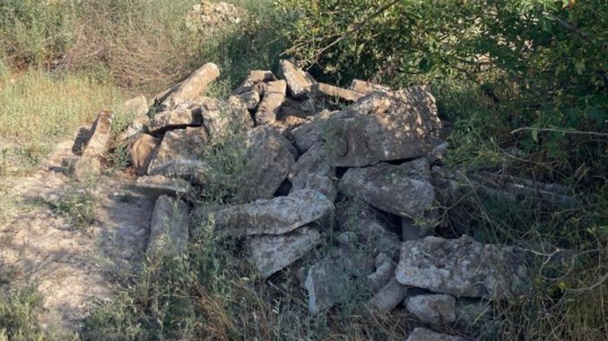 Wildes Entsorgen in Eltville belastet Umwelt und Stadtkasse Wildes Entsorgen in Eltville belastet Umwelt und Stadtkasse